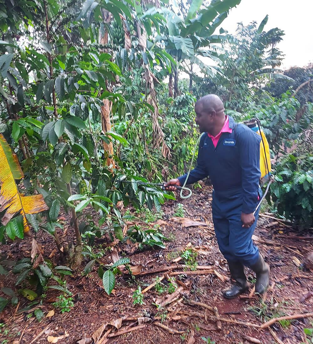 crop care training